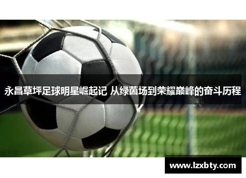 永昌草坪足球明星崛起记 从绿茵场到荣耀巅峰的奋斗历程